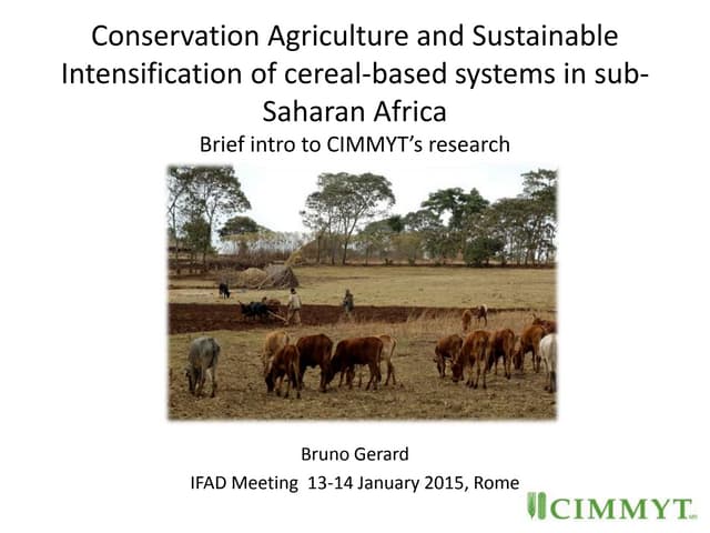 Conservation Agriculture and Sustainable Intensification of cereal-based systems in sub-Saharan AfricaBrief intro to CIMMYT’s research 
