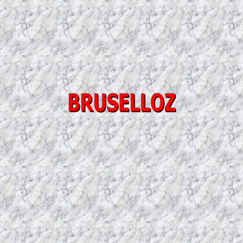 Bruselloz