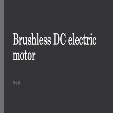 Brushless dc electric motor