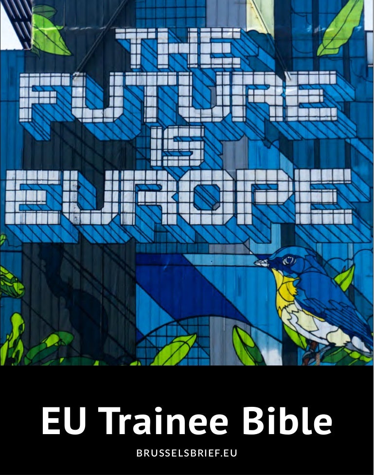 Brussels Brief Eu Trainee Bible Autumn 2019