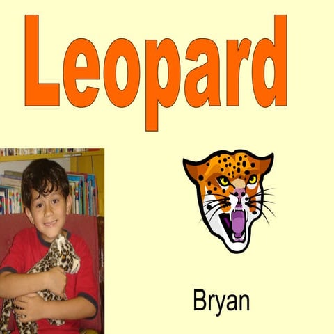 Leopard | PPT