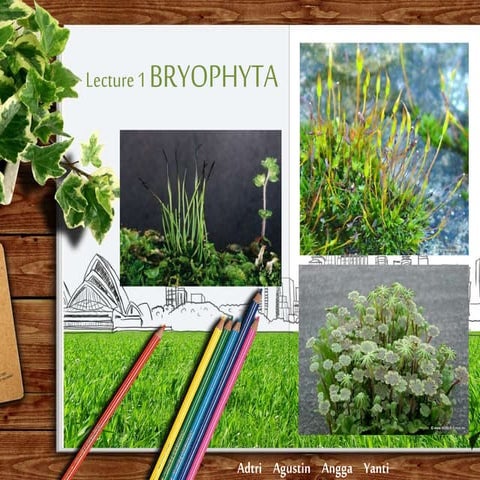 PPT Embriologi Tumbuhan - Bryophyta