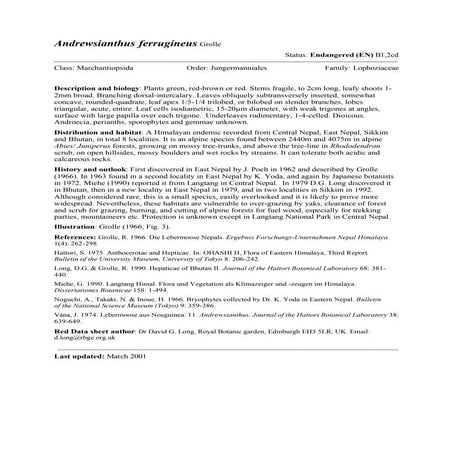 Bryophyte    Andrewsianthus Ferrugineus 2