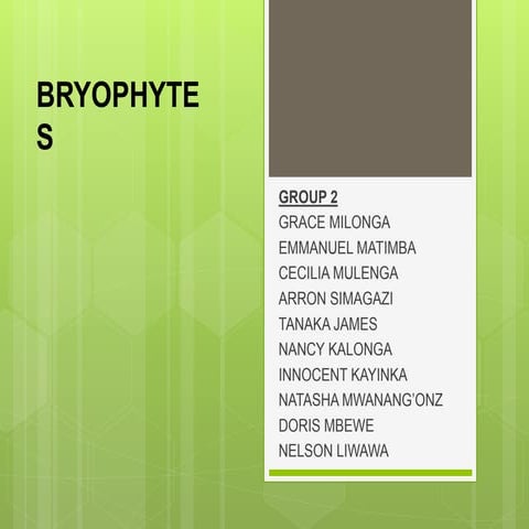 BRYOPHYTE PRESENTATIONFinal...     ...pptx