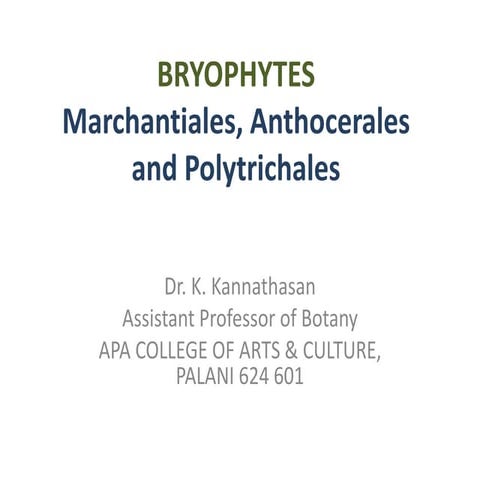 Marchantiales, Anthocerales and Polytrichales : A comparision