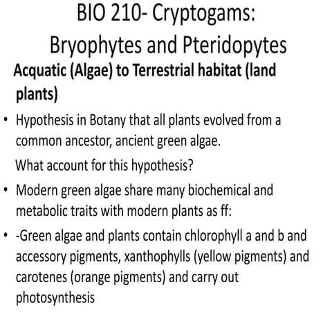 bryophytes and pteridophytes.ppt cryptogams