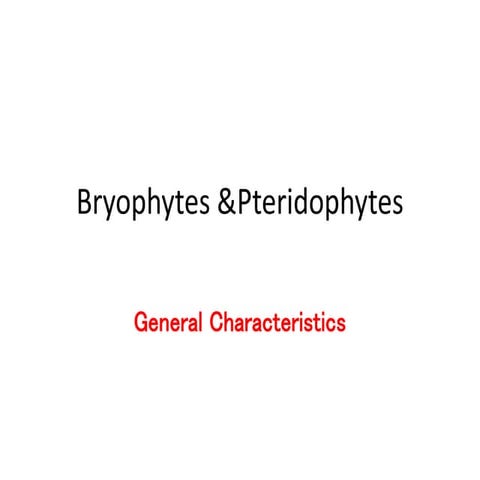 Bryophytes,Pteridophytes