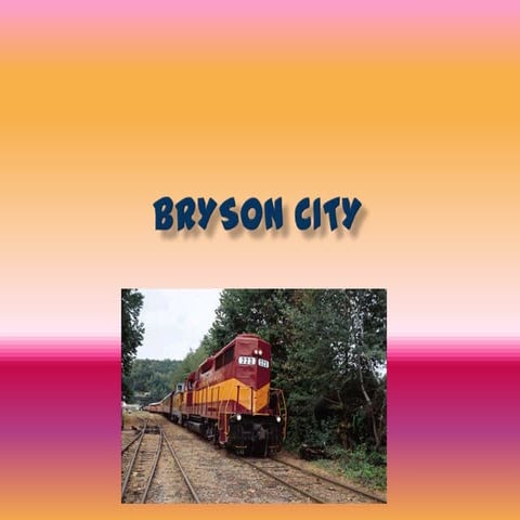Bryson city