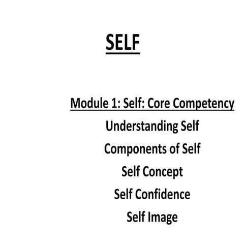 Bs101   module 1 - self core competency1