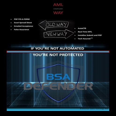 Bsa aml protection | PDF