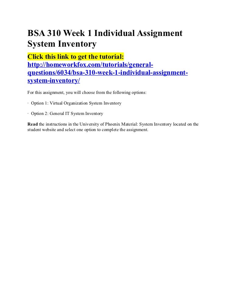 Bsa 310 individual system inventory essay 05 picture