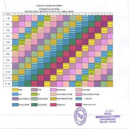Clinical rotation plan EDITED SOFT COPY.documents | DOC
