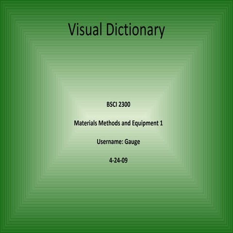 Visual Dictionary- Gauge