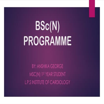 BSc nursing PROGRAMME requirements PPT.pptx