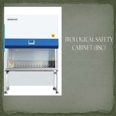 BSC, BSL.pptx