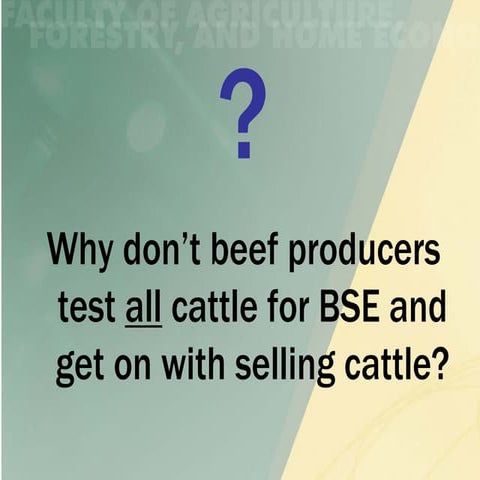 Why don't beef producers test all cattle for BSE and get on with selling cattle?