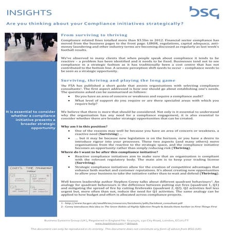 BSG (UK) Thinking strategically about compliance version 1