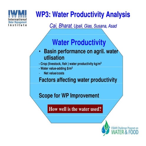 Water Productivity Anallysis in the Indo-Ganges Basin