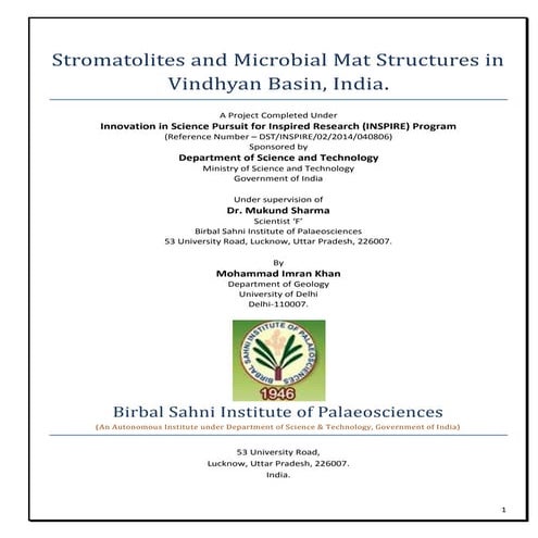 Stromatolites and MISS 