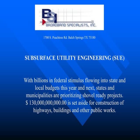 BSI Subsurface Utility Engineering