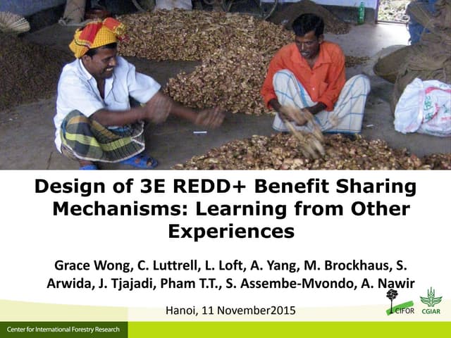 thumbnail of  Design of 3E REDD+ Benefit Sharing Mechanisms: Learning from Other Experiences