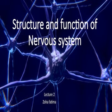 structure and function of nervous system