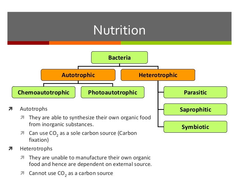 Nutrition