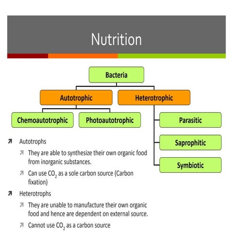 Nutrition