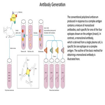 2nd presentation immunology and immunotech | PPTX