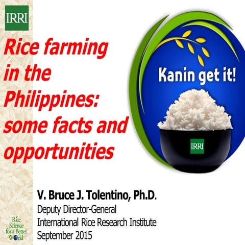 Rice Farming in the Philippines: Some Facts & Opportunities
