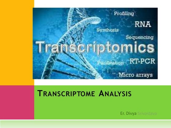 bacterial artificial chromosome & yeast artificial chromosome | PPT