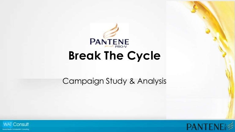 Nielsen market research for pantene case solution image