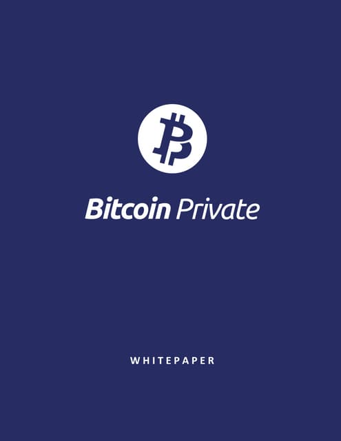 Btcp whitepaper