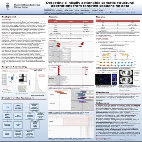 Detecting clinically actionable somatic structural aberrations from targeted ...
