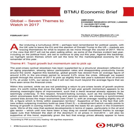 BTMU Economic Brief - macro themes 2017