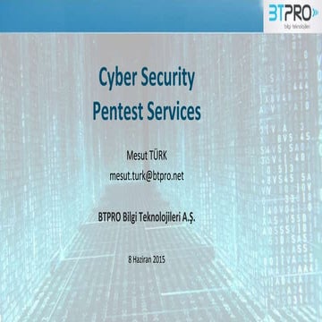 Btpro-Penetration Testing Service