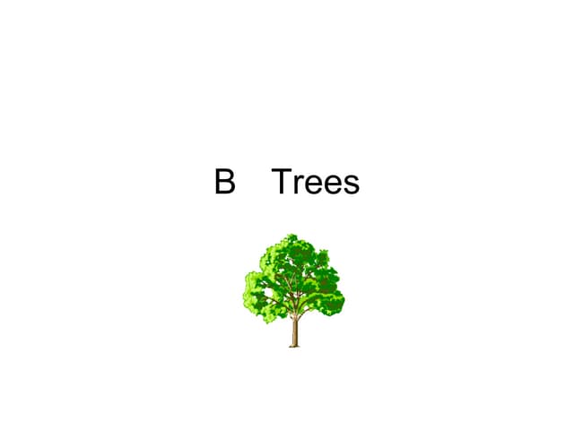 B Trees