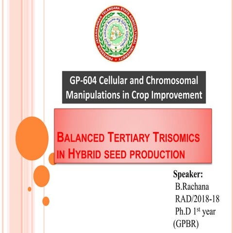 Balanced tertiary trismoics - Hybrid seed production