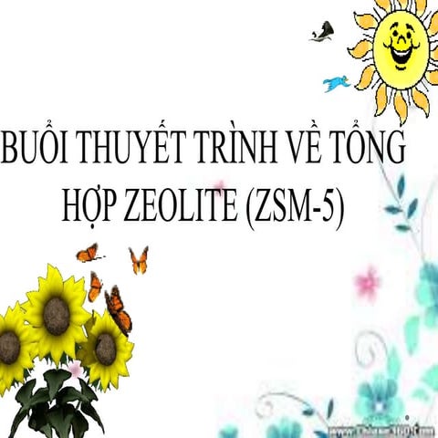 Tổng hợp zeolite ZSM-5