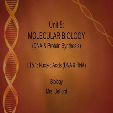 BU5.1 Nucleic Acids (DNA & RNA)
