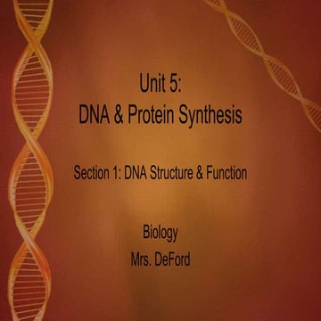 BU5.1 DNA Structure & Function