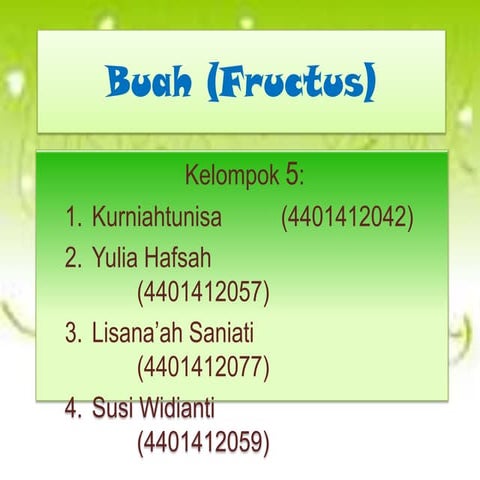Buah (fructus)