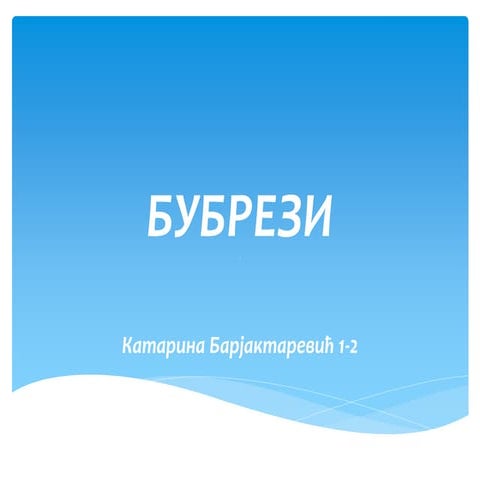 Бубрези - К. Барјактаревић | PPT