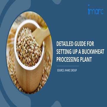 Buckwheat Processing Plant Project Report.pptx