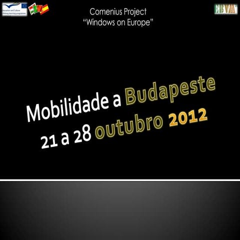 Budapest meeting 2012