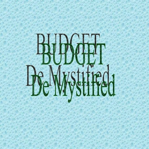 Budget 08 09