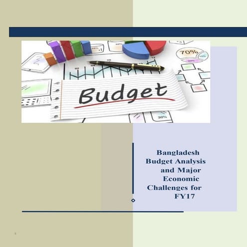 Budget analysis-fy17