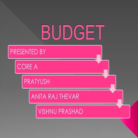 Budget anita