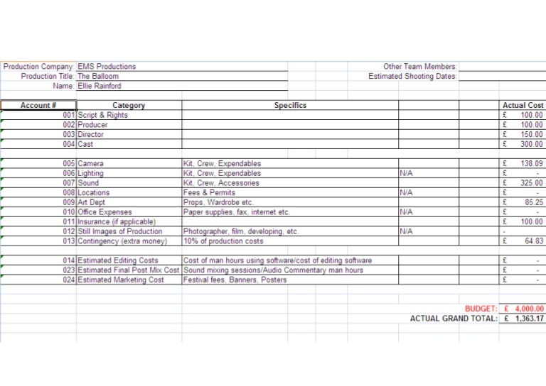 film budget