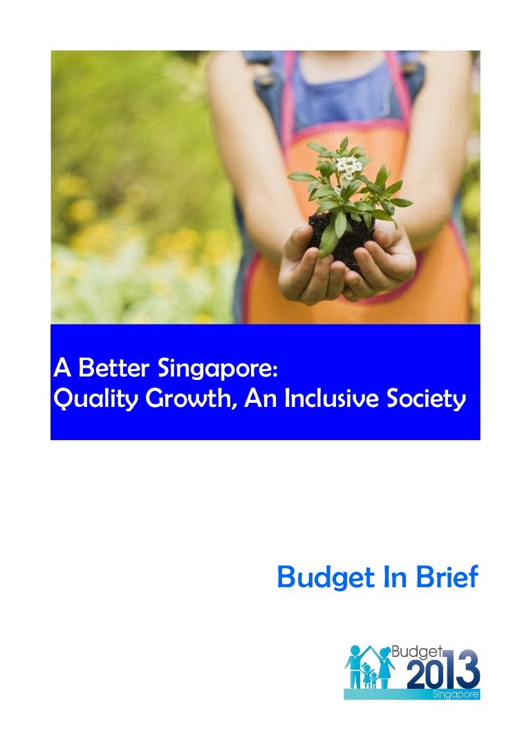 Budget in brief